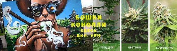 меф Медногорск